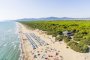 Lunga spiaggia sabbiosa con ombrelloni, accanto a una foresta verde.